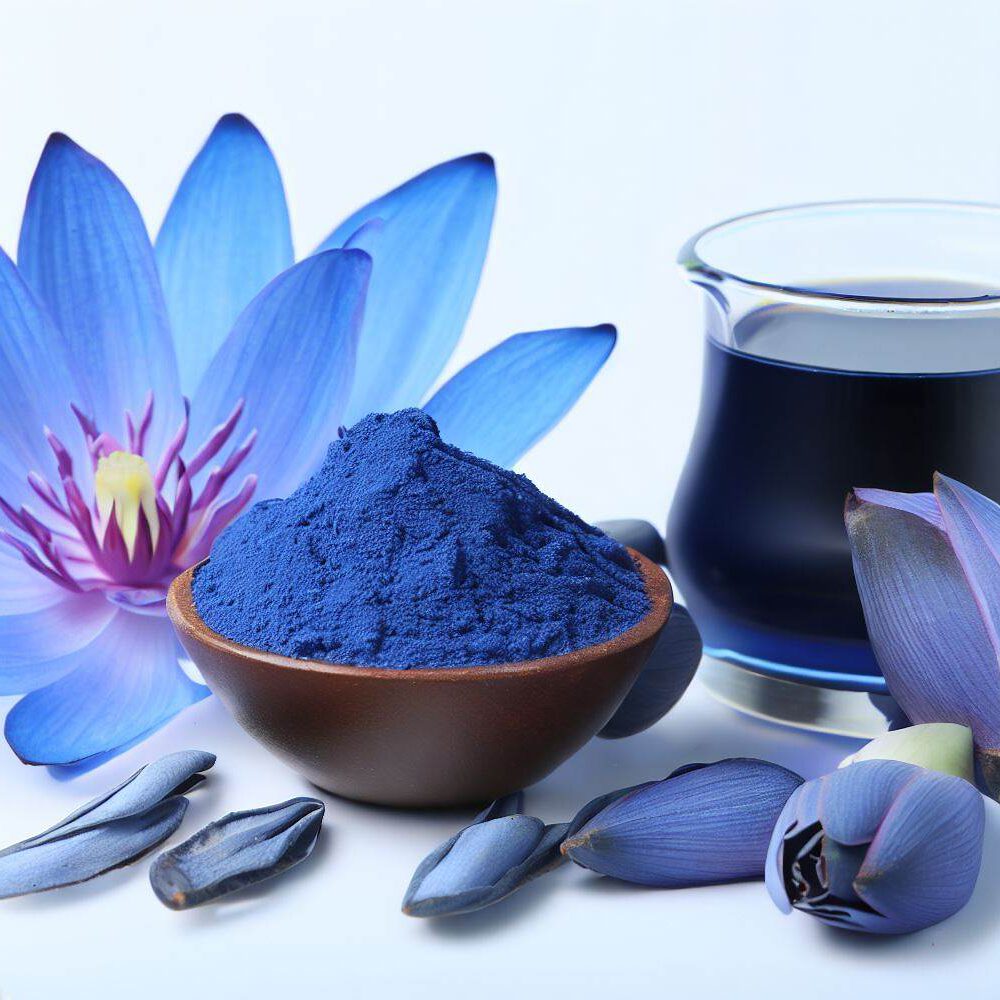 Nymphaea Caerulea (Blue Lotus) Liquid Extract - Plant